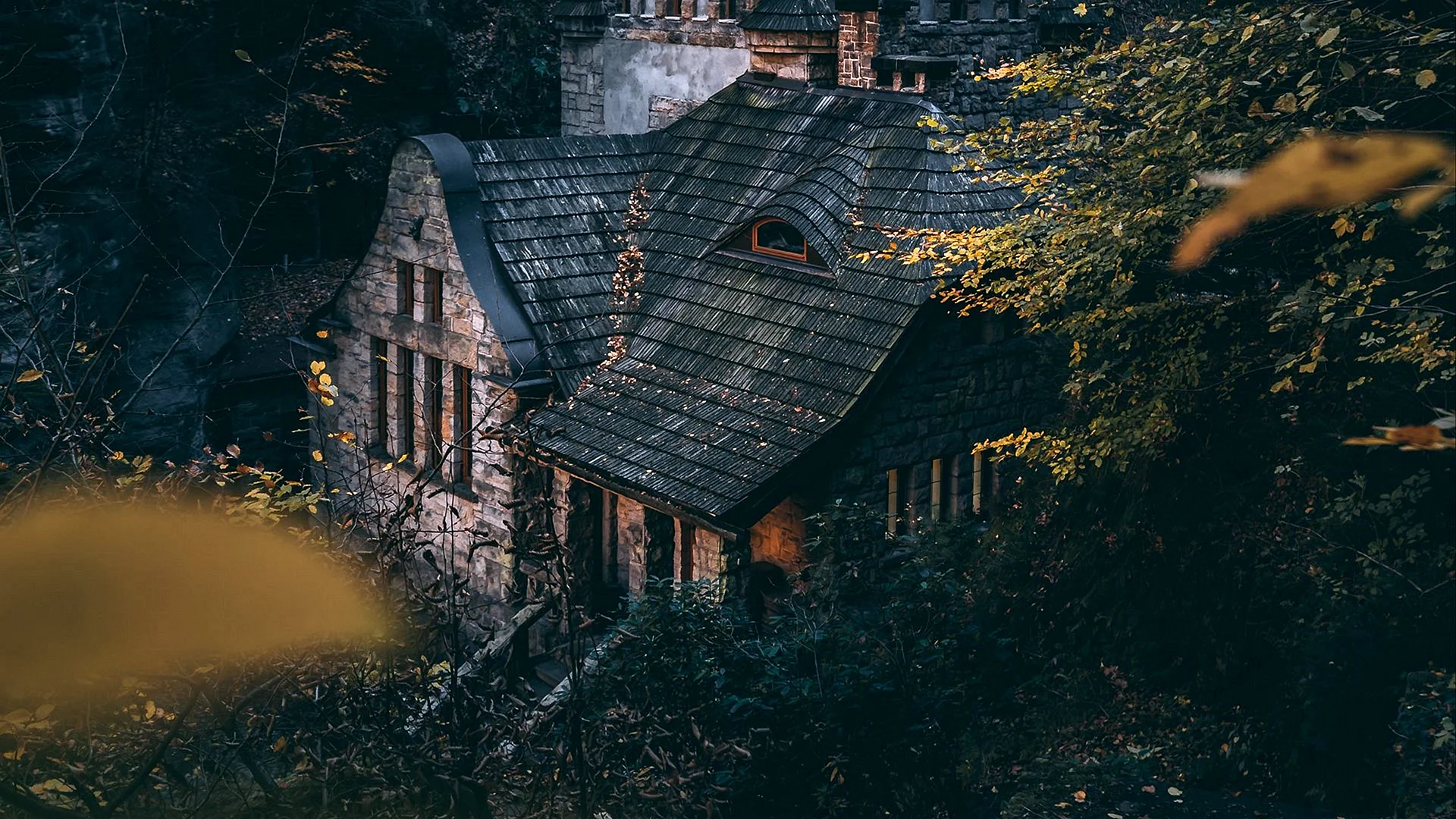 Old House Forest Wallpaper