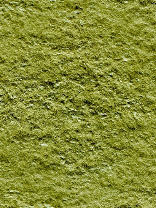 Olive Green Texture Wallpaper