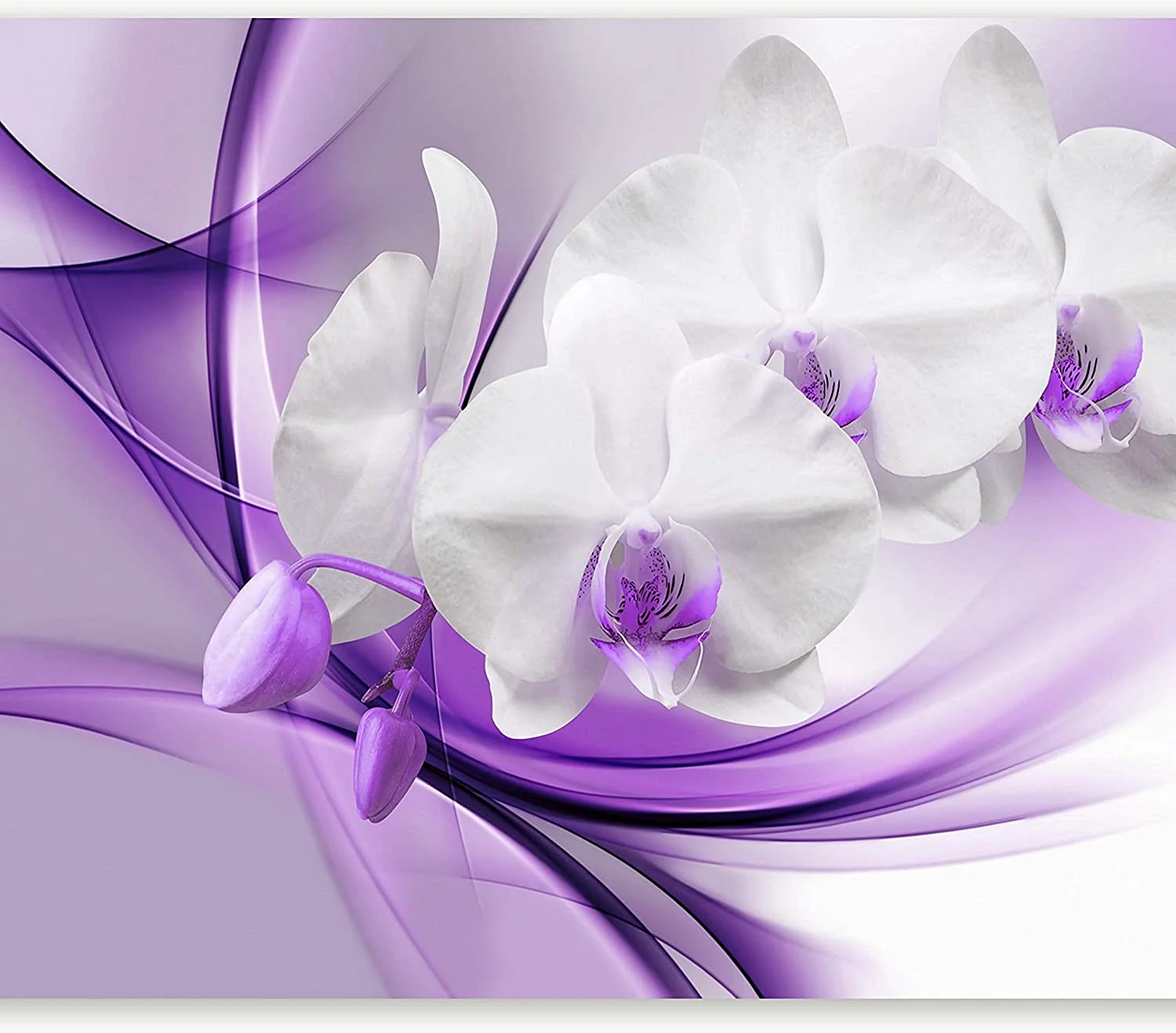 Orchid Abstract Wallpaper