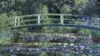 Oscar-Claude Monet Wallpaper