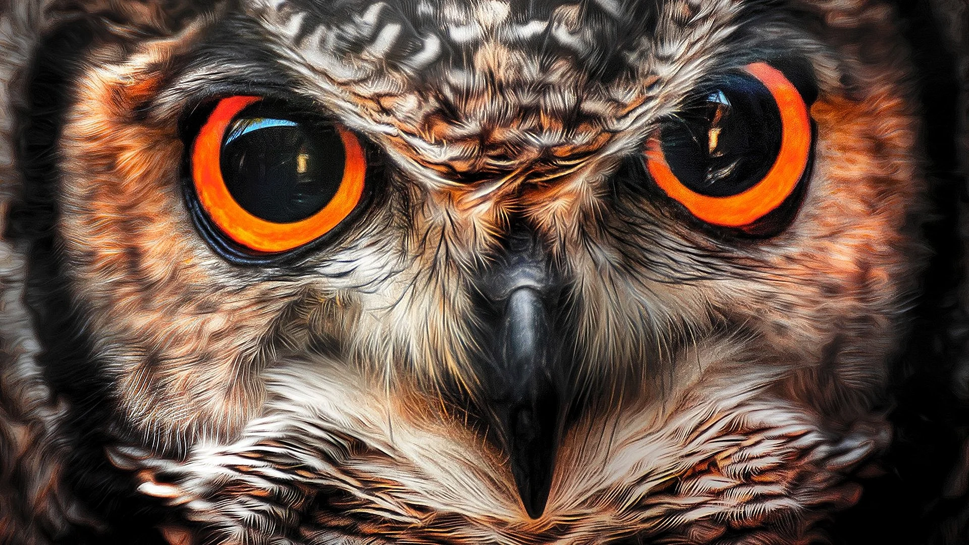 Owl Wallpaper