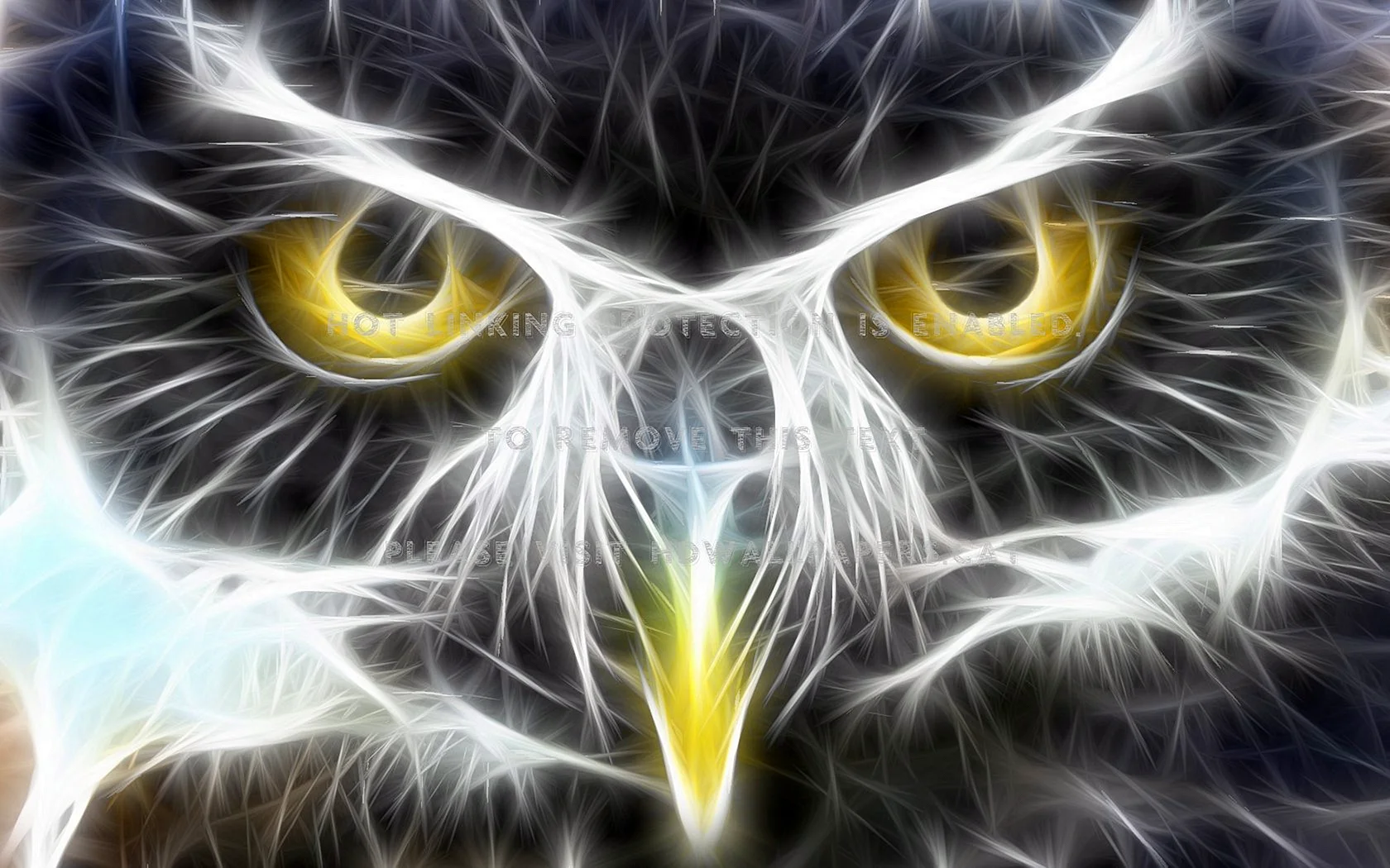 Owl 3D Wallpaper