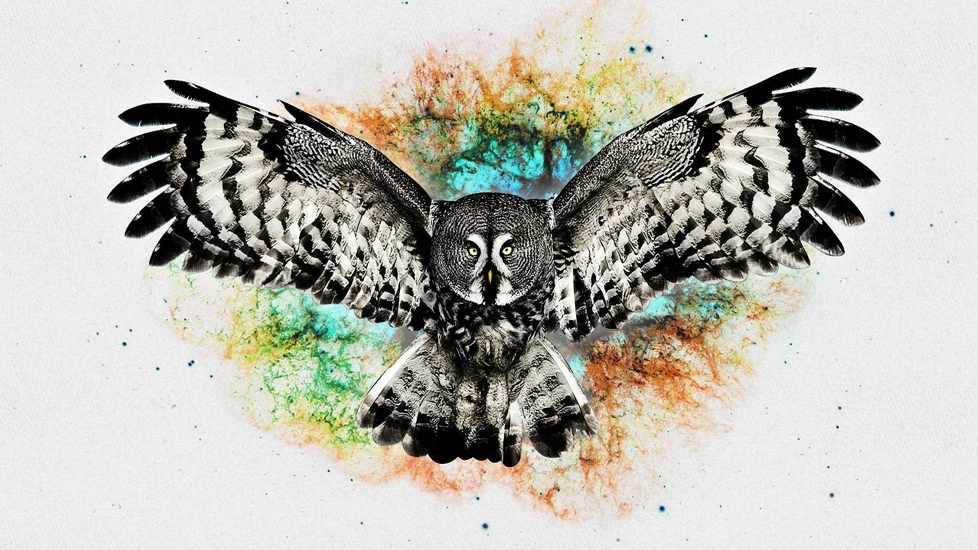 Owl Art Wallpaper