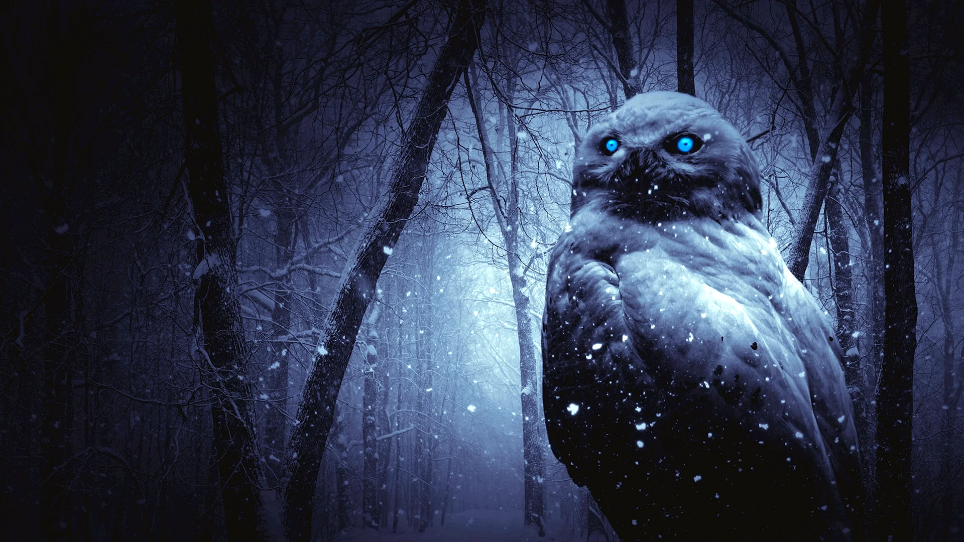 Owl Art Dark Wallpaper