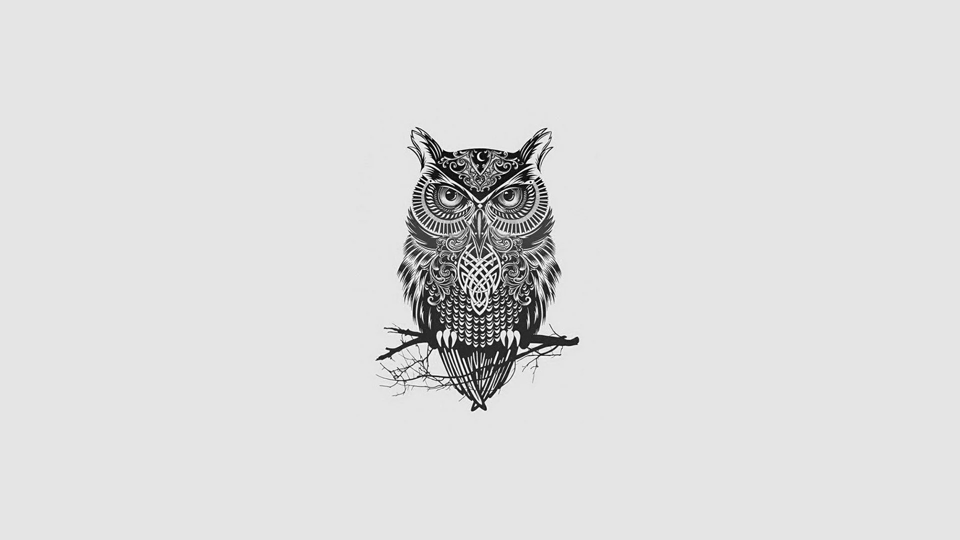 Owl Monochrome Wallpaper