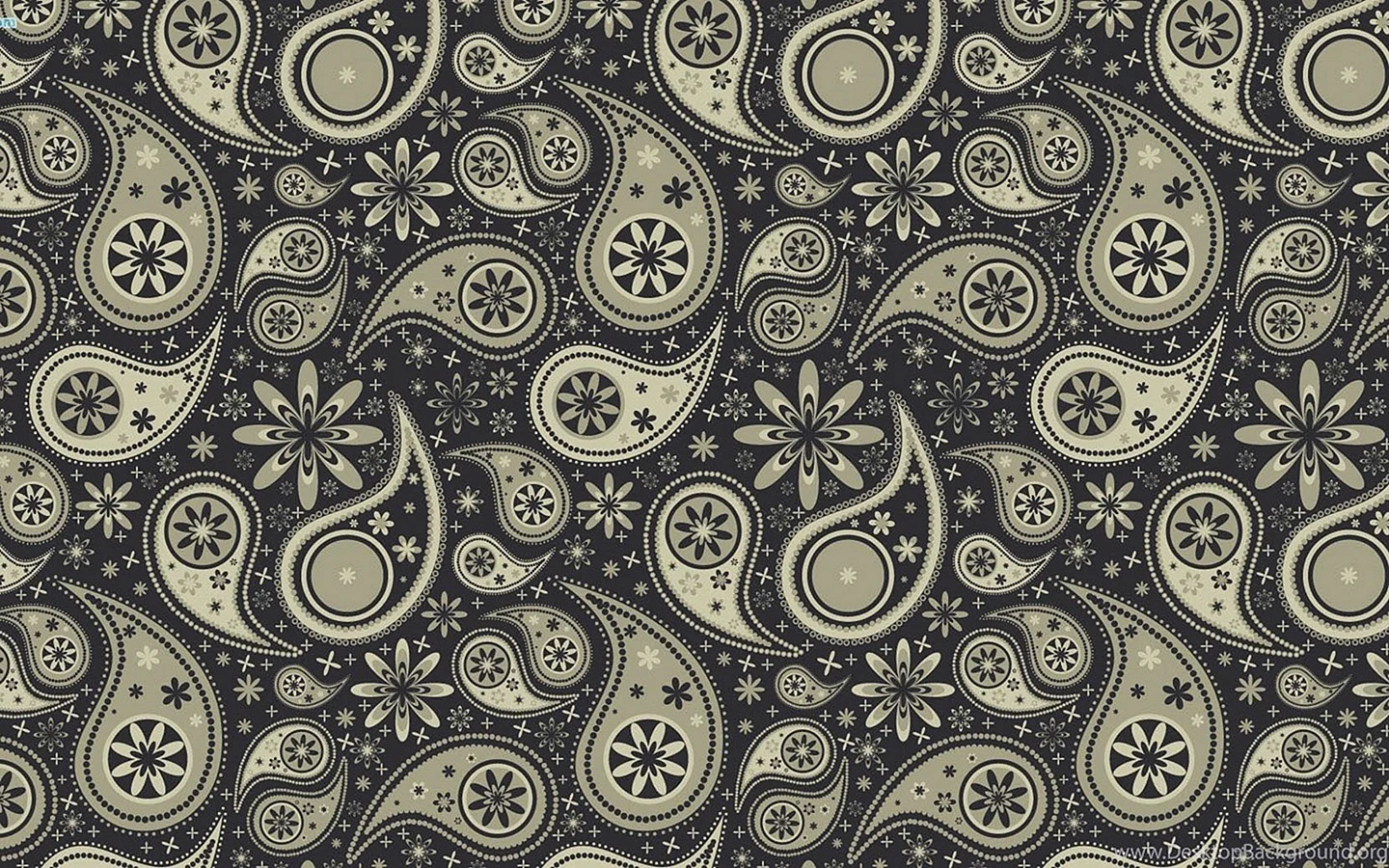 Paisley Wallpaper