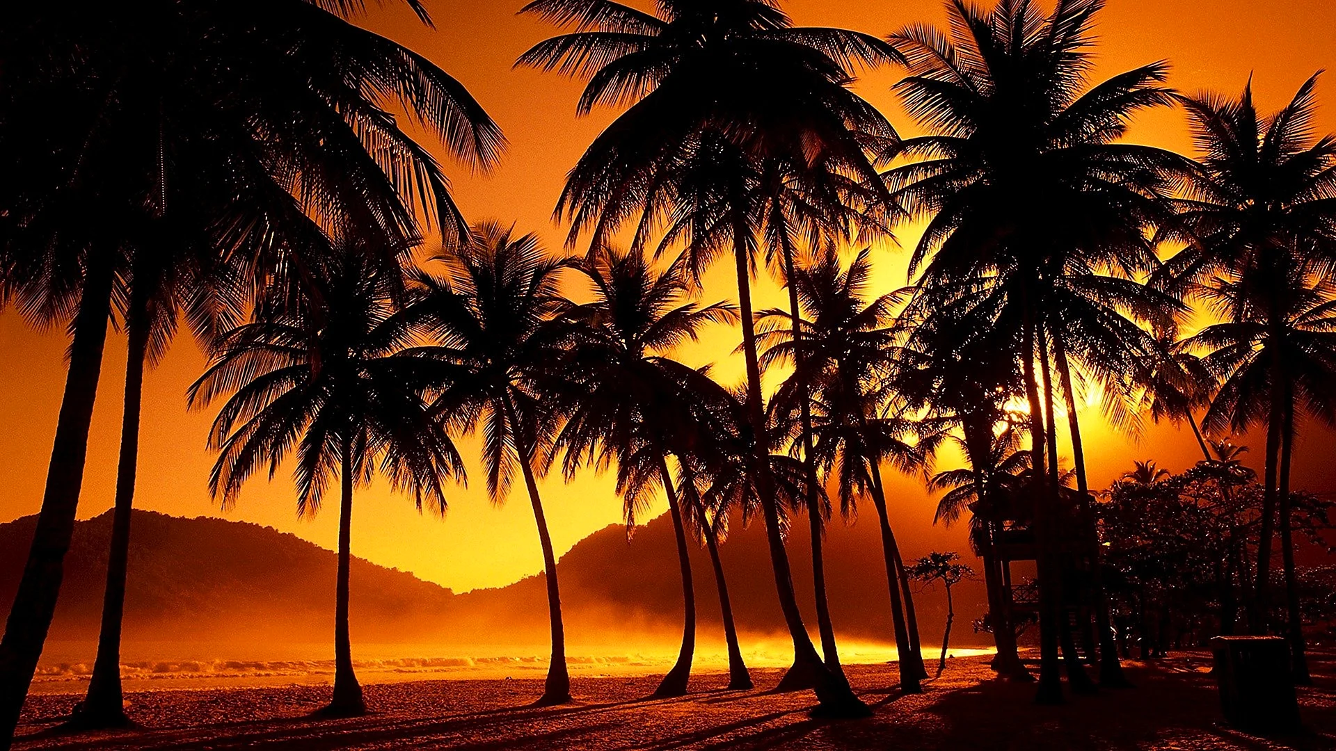 Palm Beach Sunset Wallpaper
