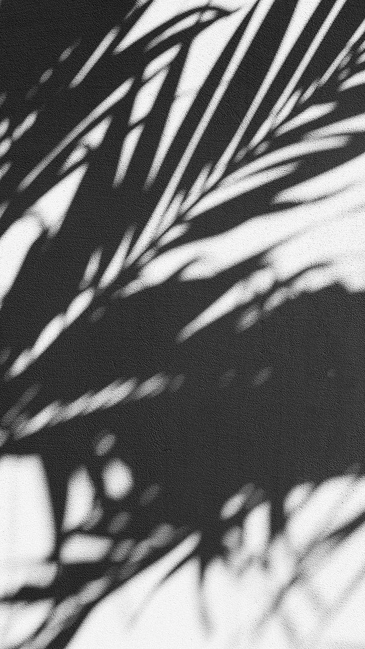 Palm Tree Shadow Wallpaper For iPhone