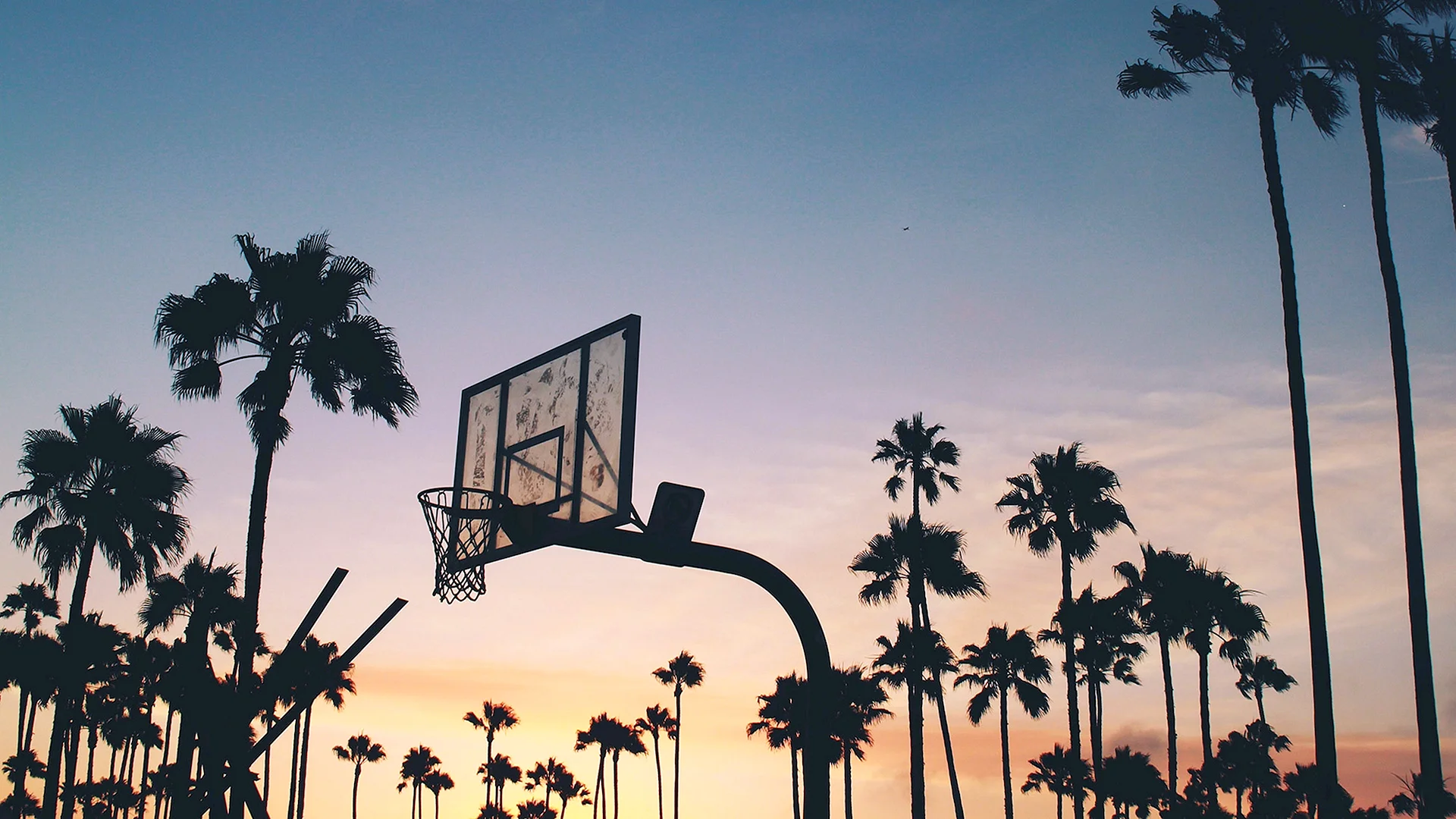 Palm Trees Basketball Court Wallpaper