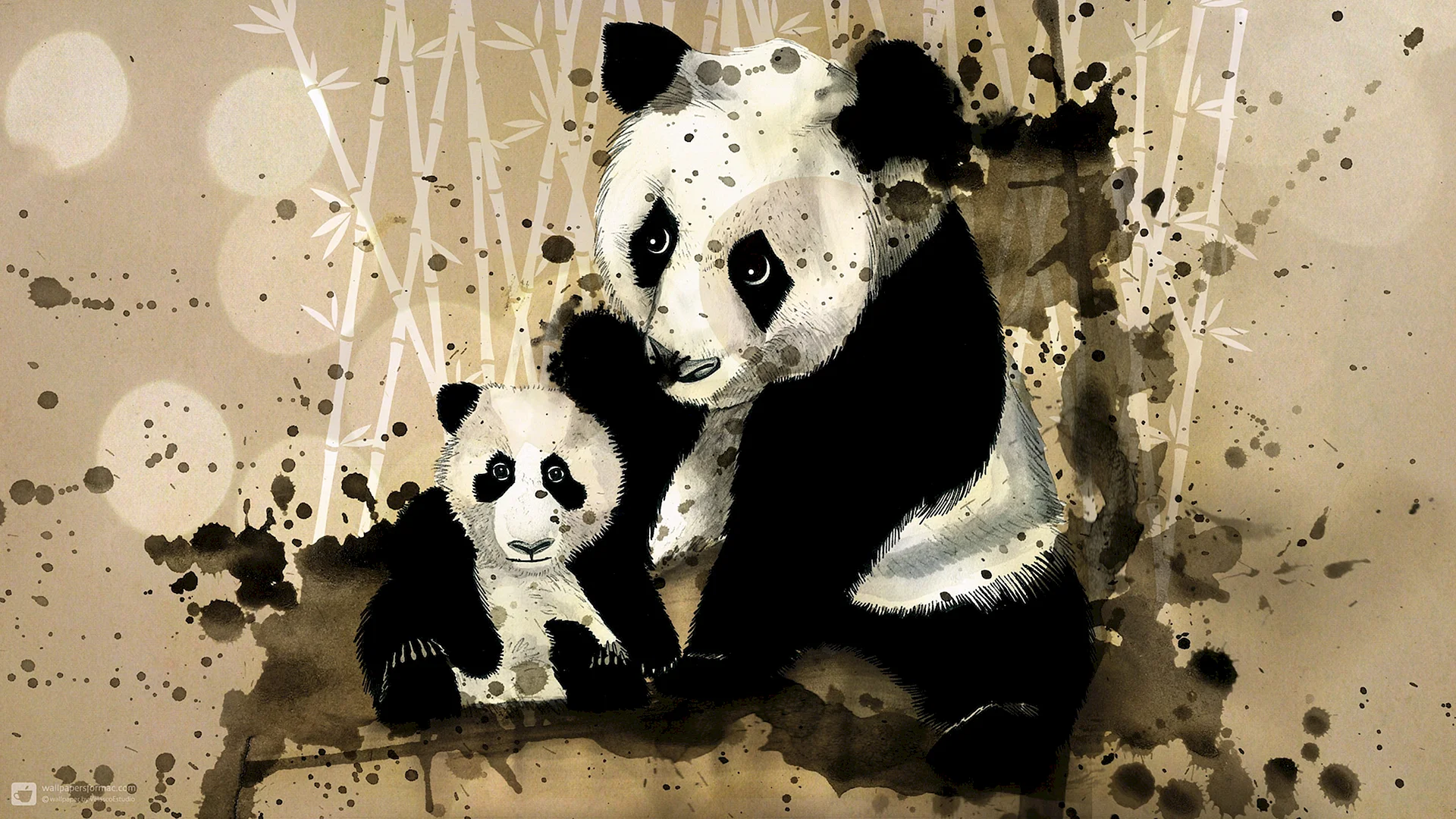 Panda Wallpaper