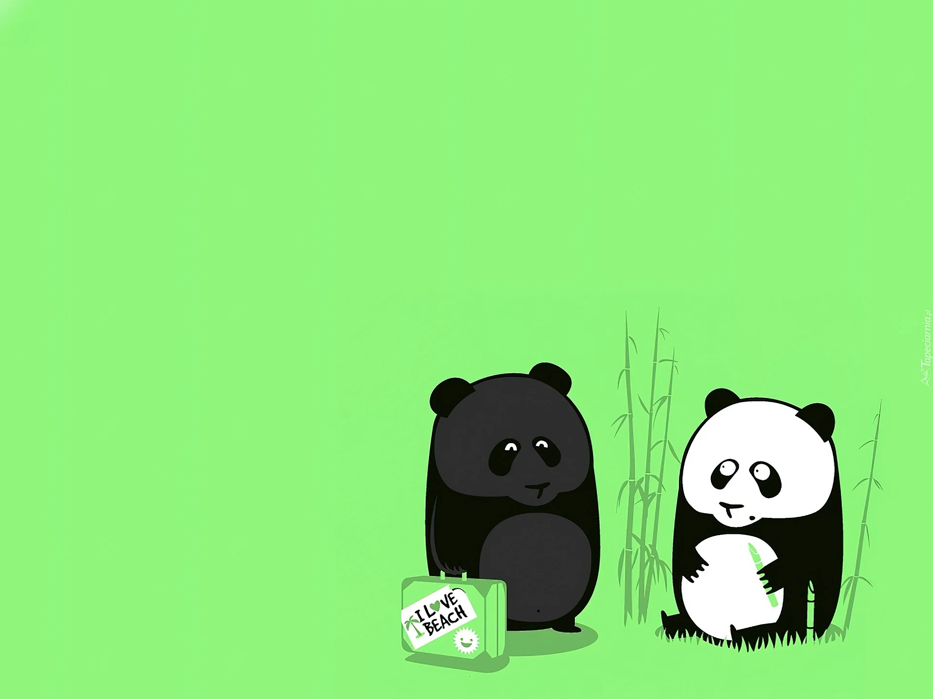 Panda Cartoon Wallpaper