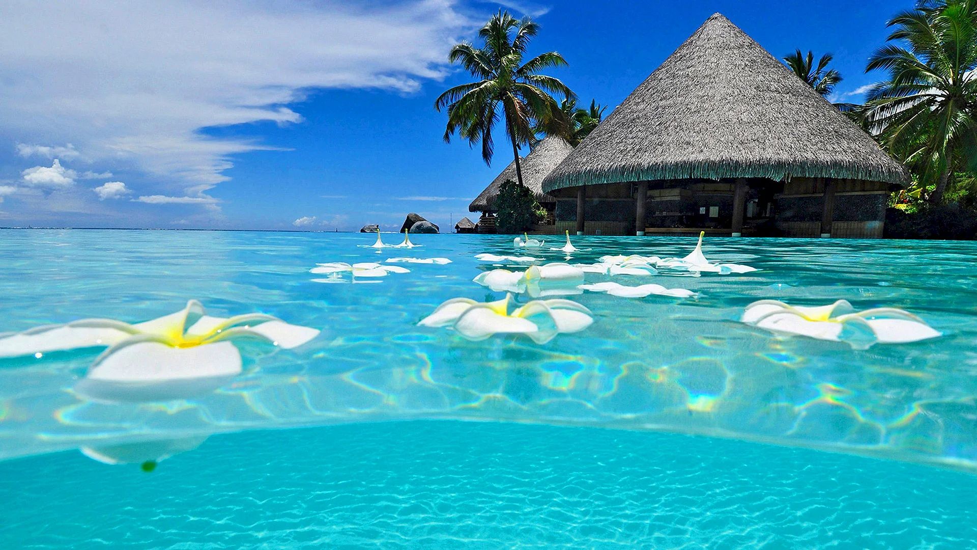 Paradise Wallpaper