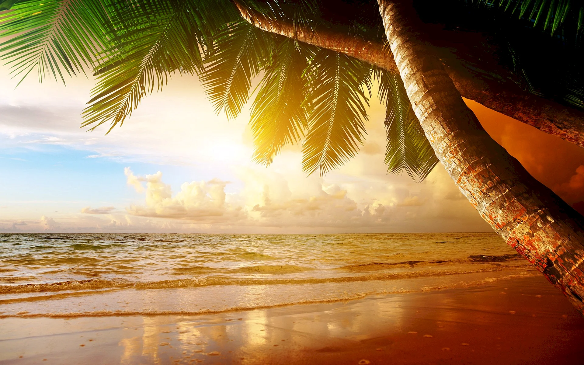 Paradise Beach Sunset Wallpaper