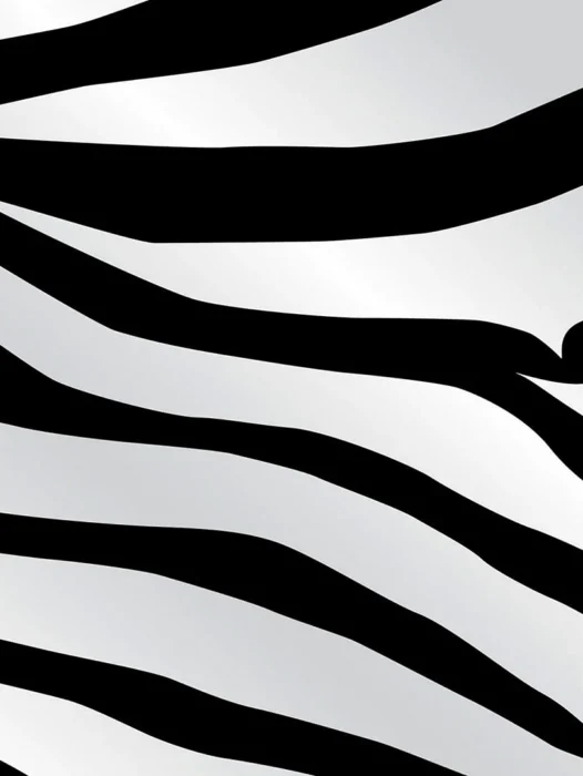 Pattern Black and White Zebra Wallpaper