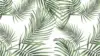 Pattern Tropical Palm Wallpaper