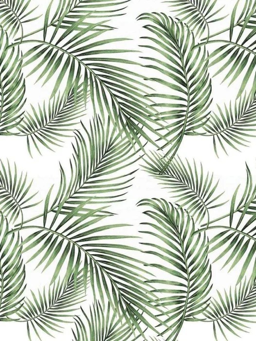 Pattern Tropical Palm Wallpaper