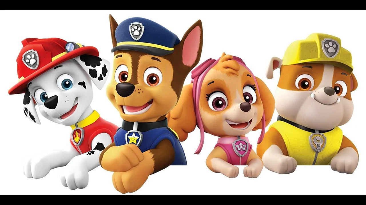 Paw Patrol 7k