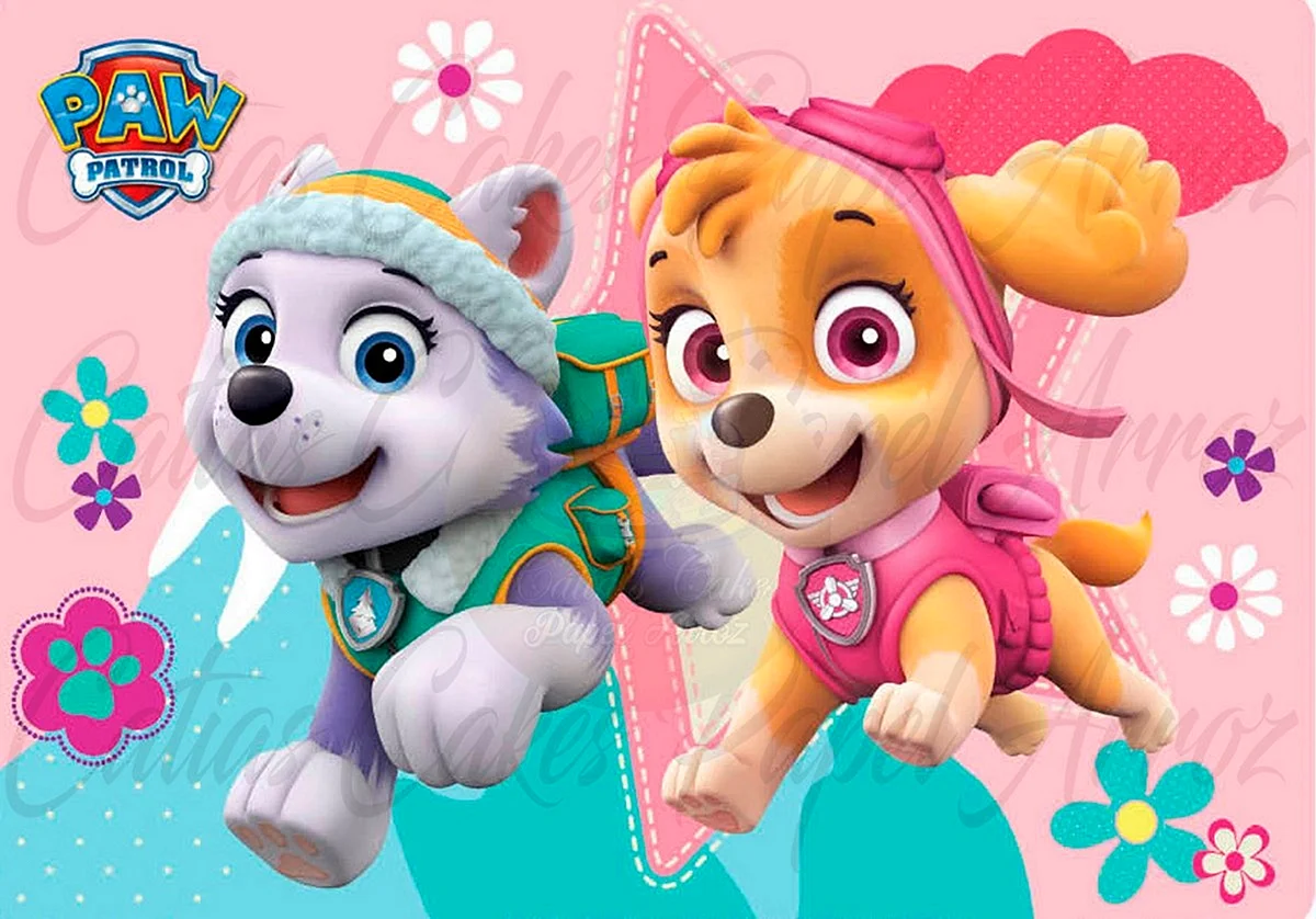 Paw Patrol Skye And Everest Wallpaper