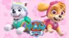 Paw Patrol Skye And Everest Wallpaper