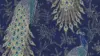 Payet Peacock Wallpaper