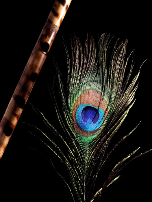 Peacock Feather Wallpaper
