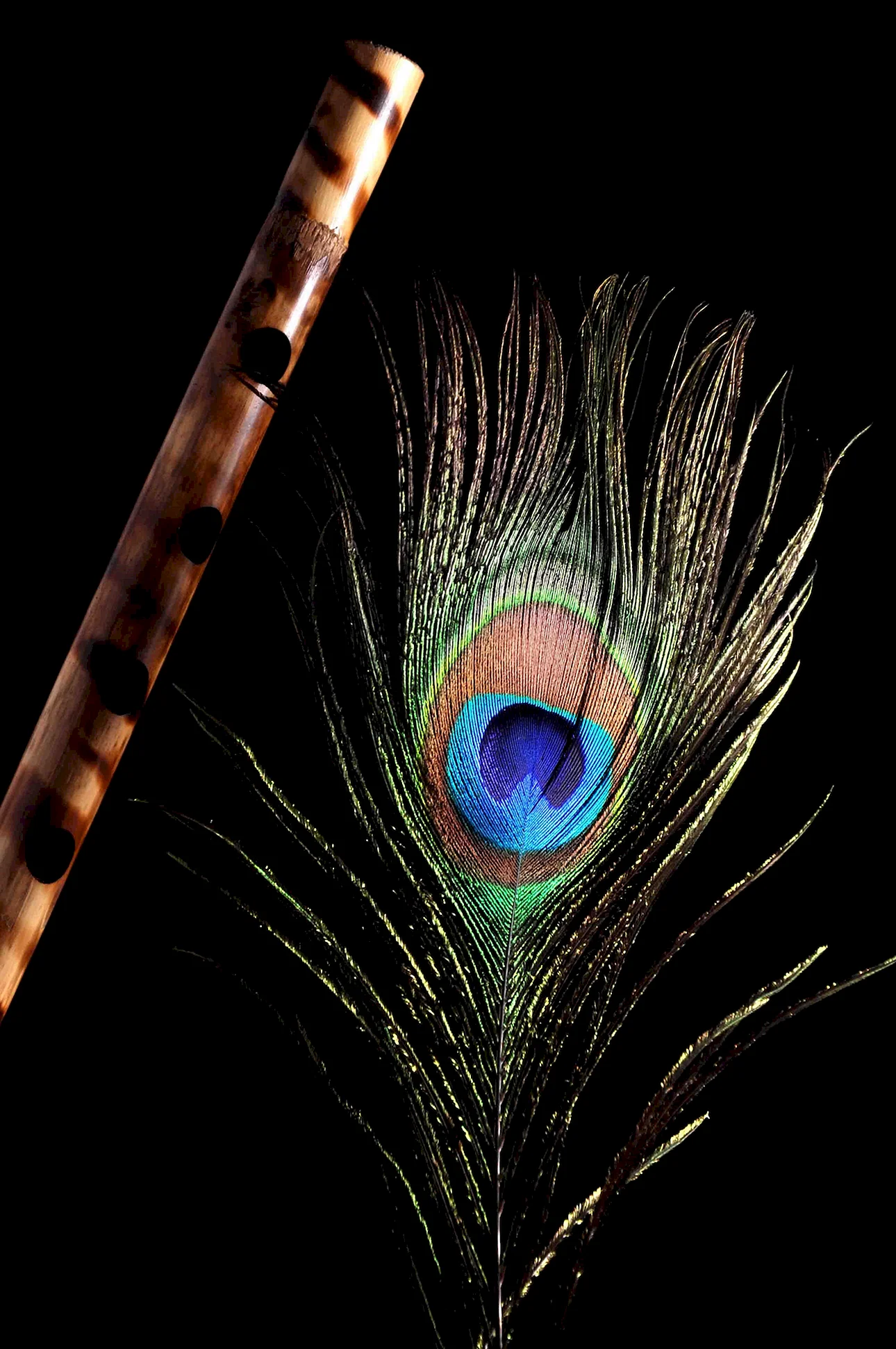 Peacock Feather Wallpaper For iPhone