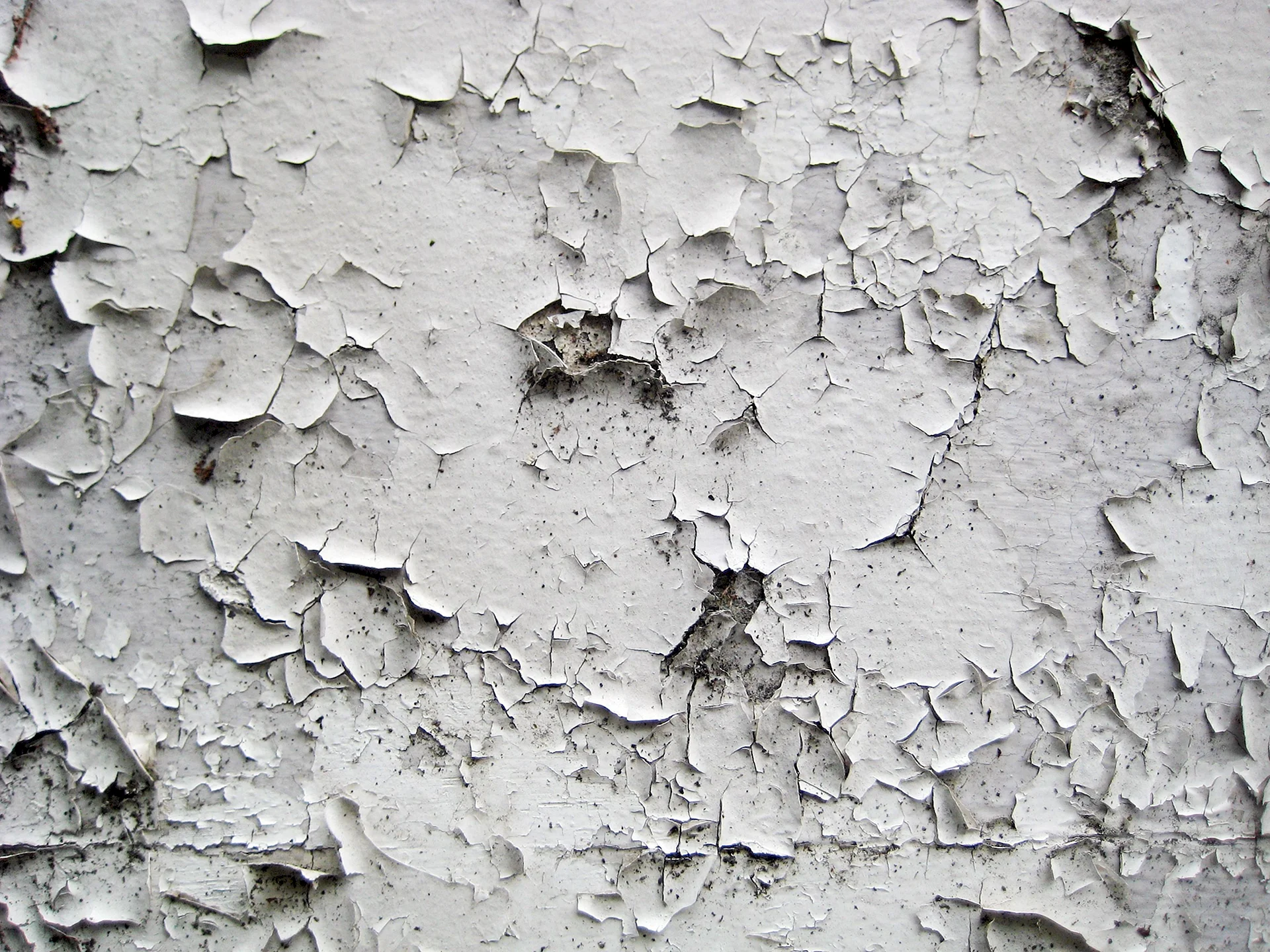 Peeling Paint Wall Wallpaper