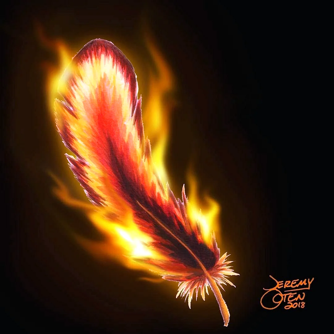 Phoenix Feather Wallpaper