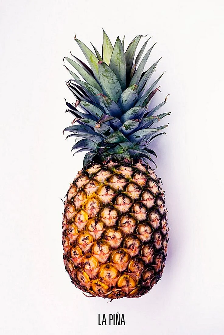 Pineapple Poster Wallpaper For iPhone