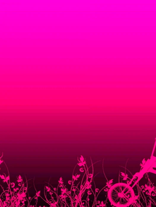 Pink Colour Background Wallpaper
