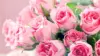 Pink Flower Bouquet Wallpaper