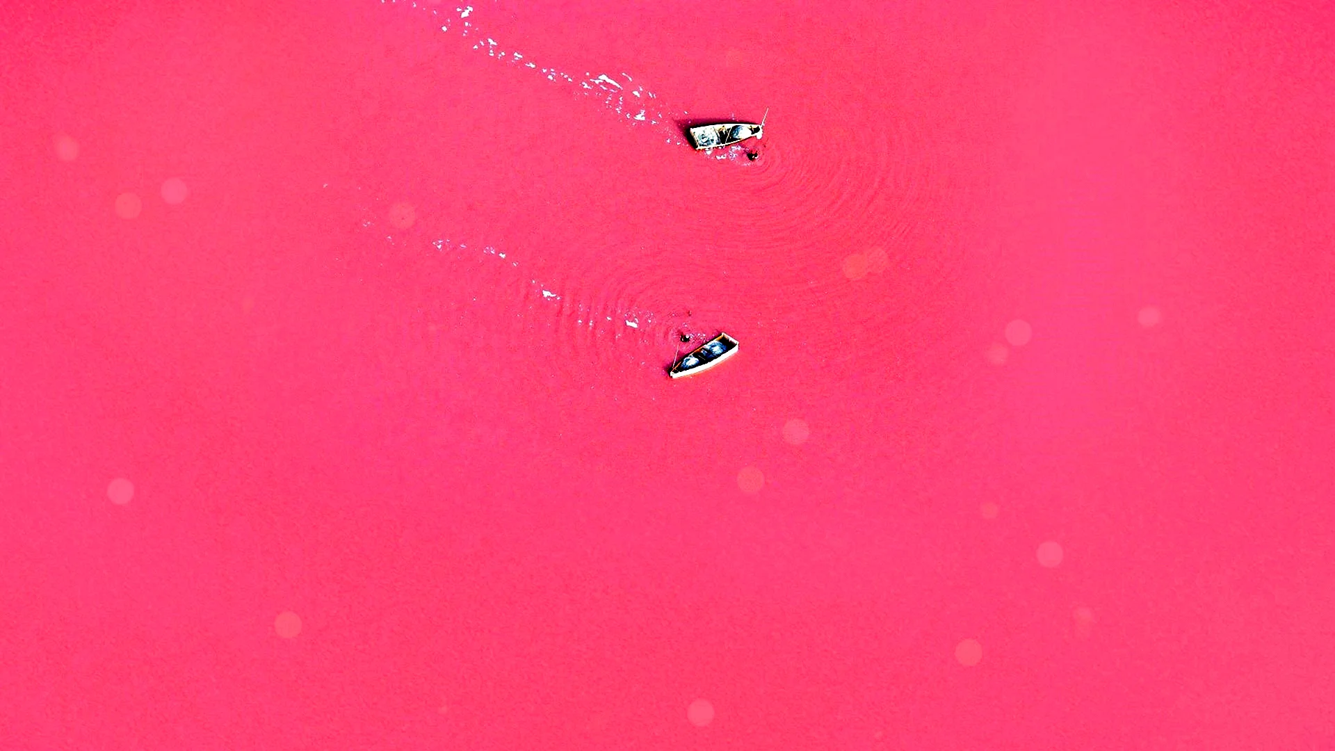 Pink Lagoon Sfm Wallpaper