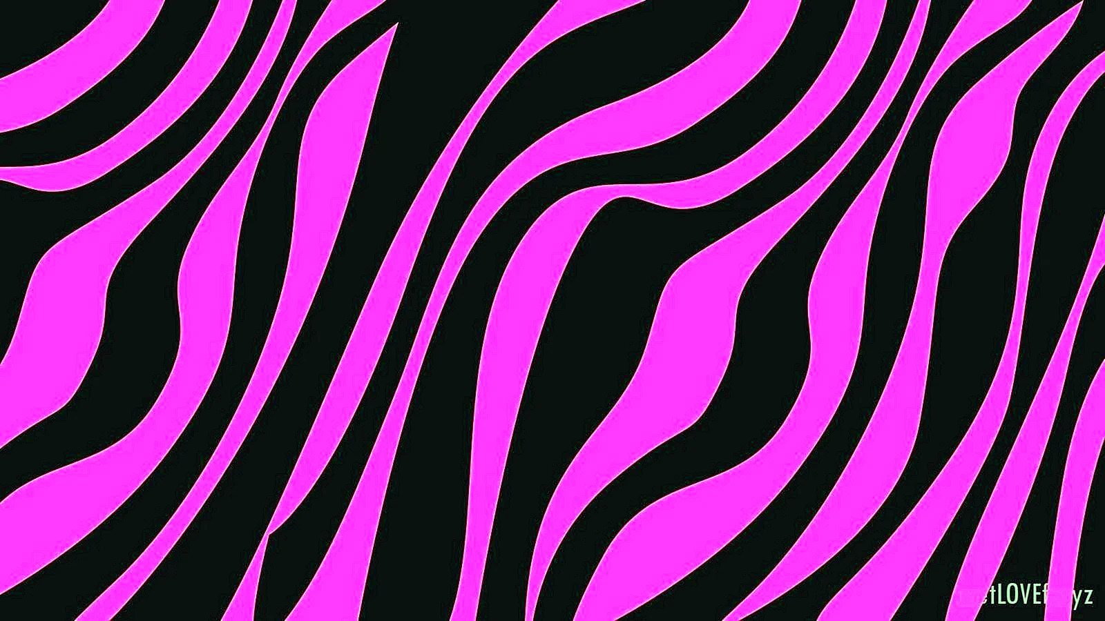 Pink Zebra Wallpaper