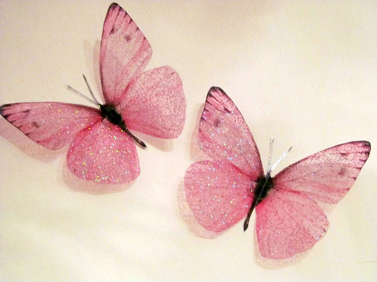 Pink Butterfly Wallpaper