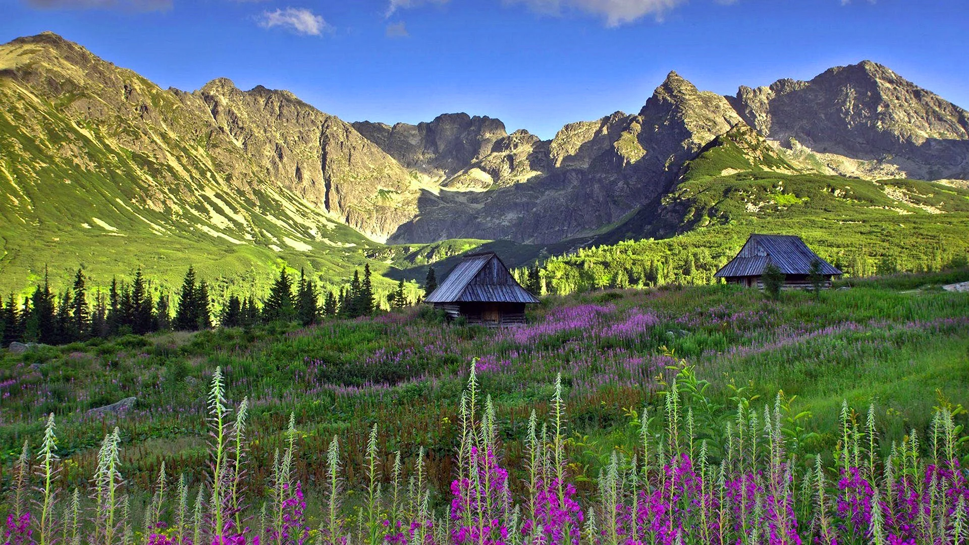 Poland Tatra National Park