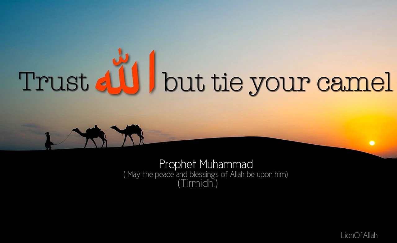 Prophet Muhammad Quote Wallpaper