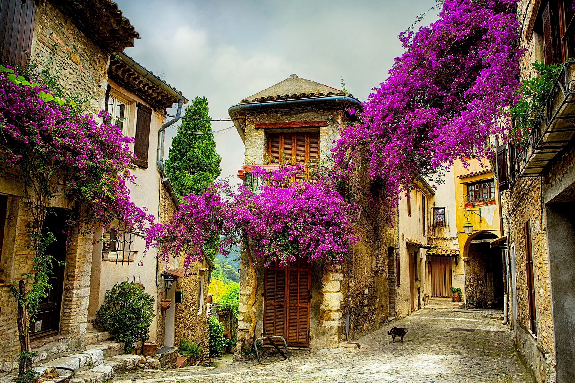 Provence France Wallpaper