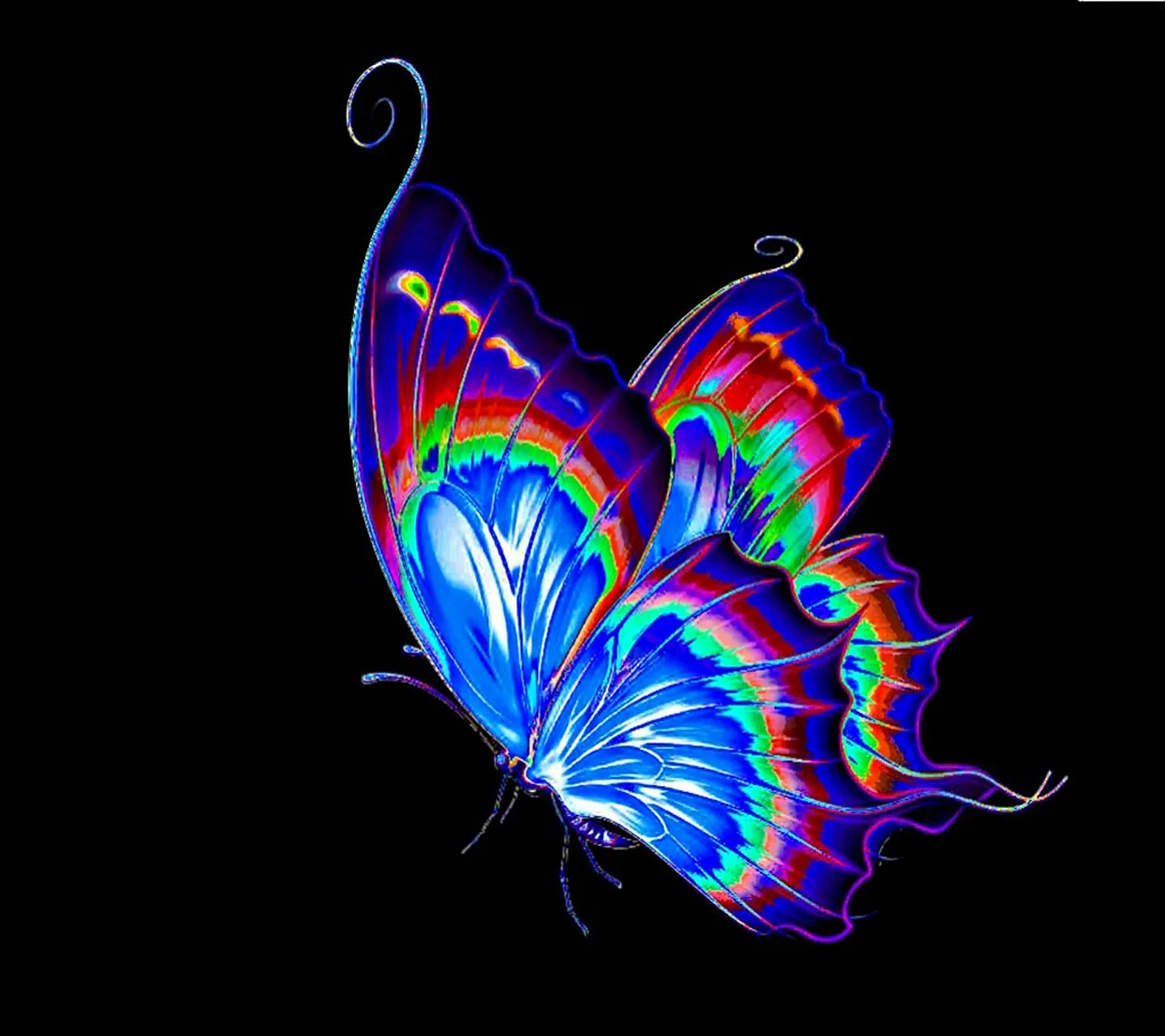 Psychedelic Butterfly Wallpaper