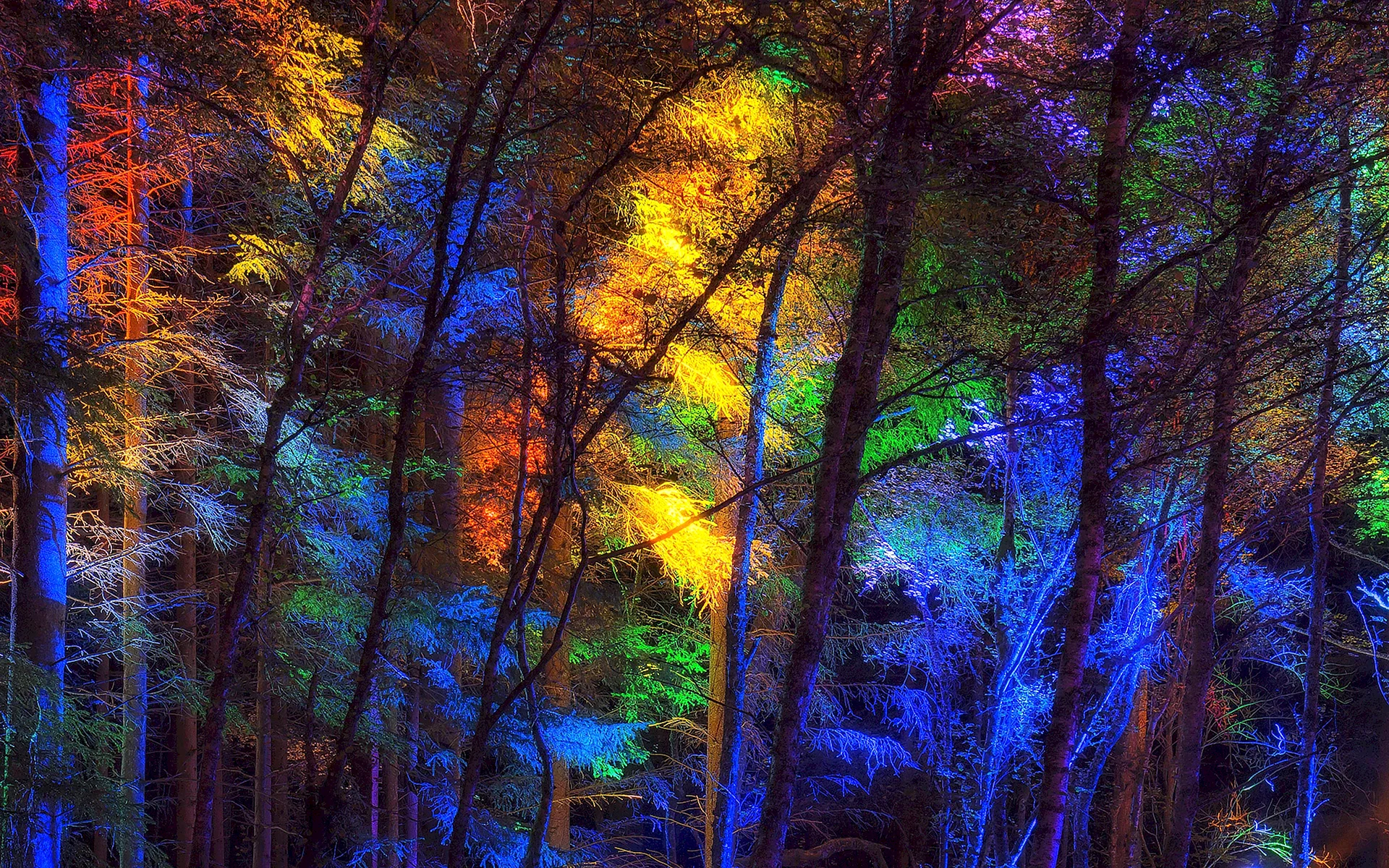 Psychedelic Forest Wallpaper