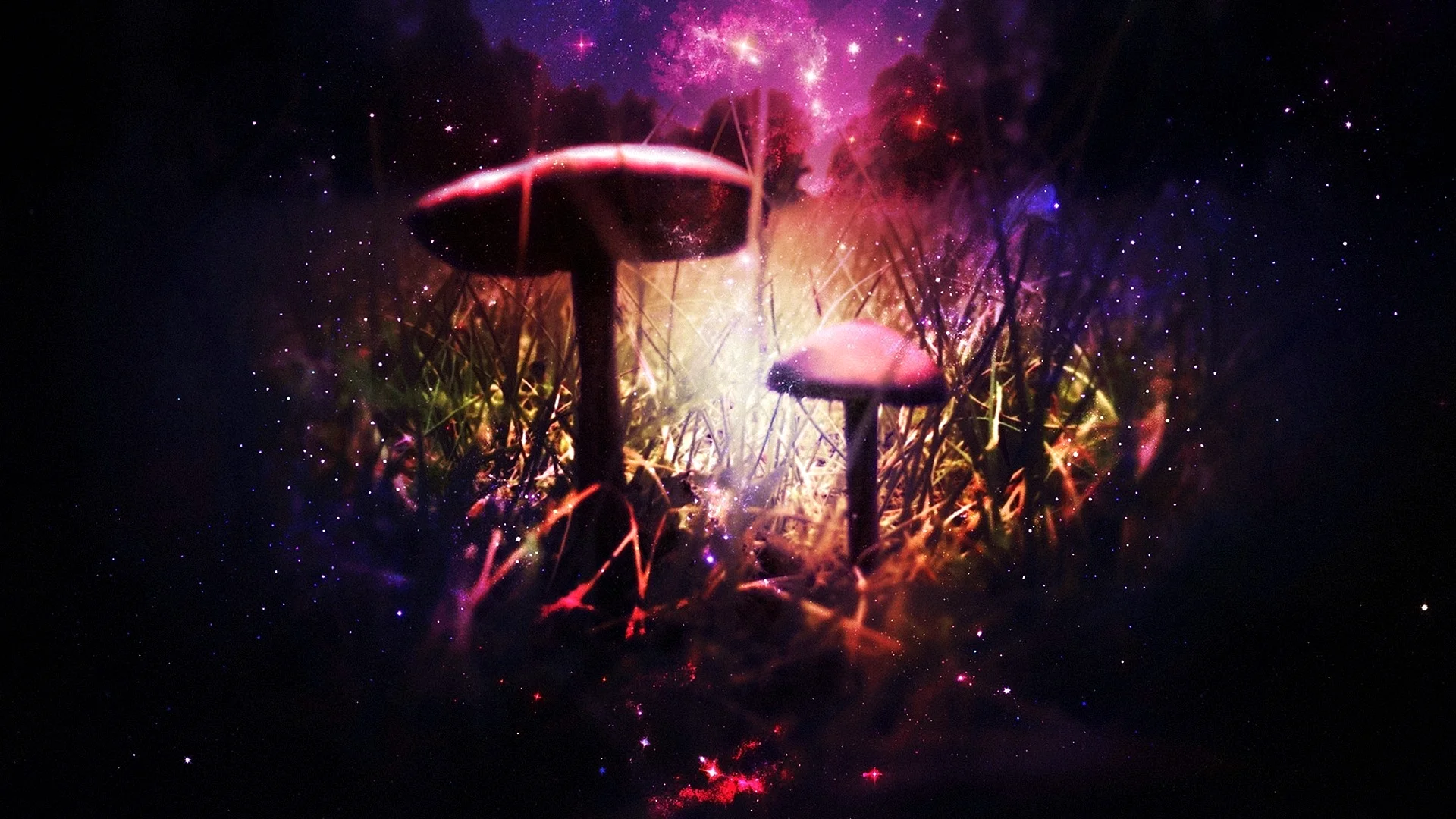 Psychedelic Mushroom Wallpaper