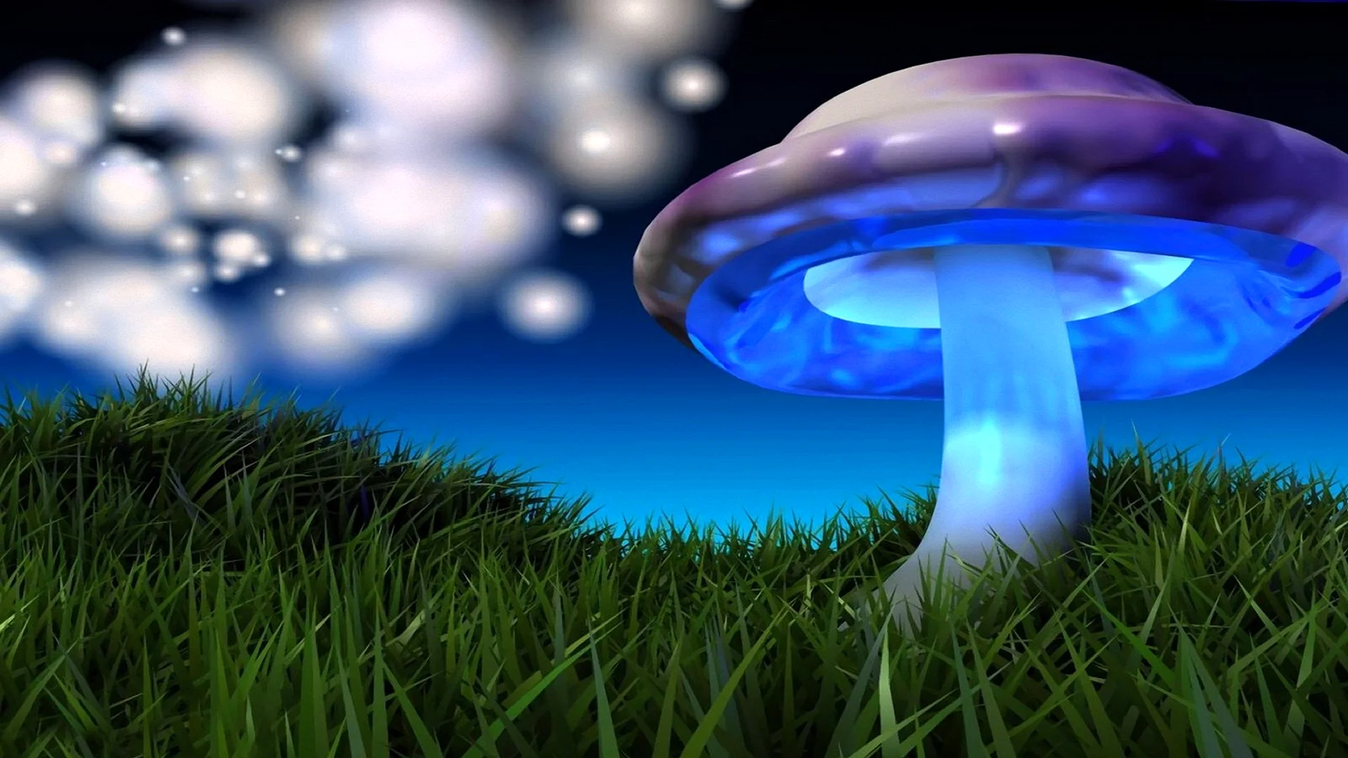 Blue Mushroom Wallpapers - Free Blue Mushroom Backgrounds - WallpapersHigh