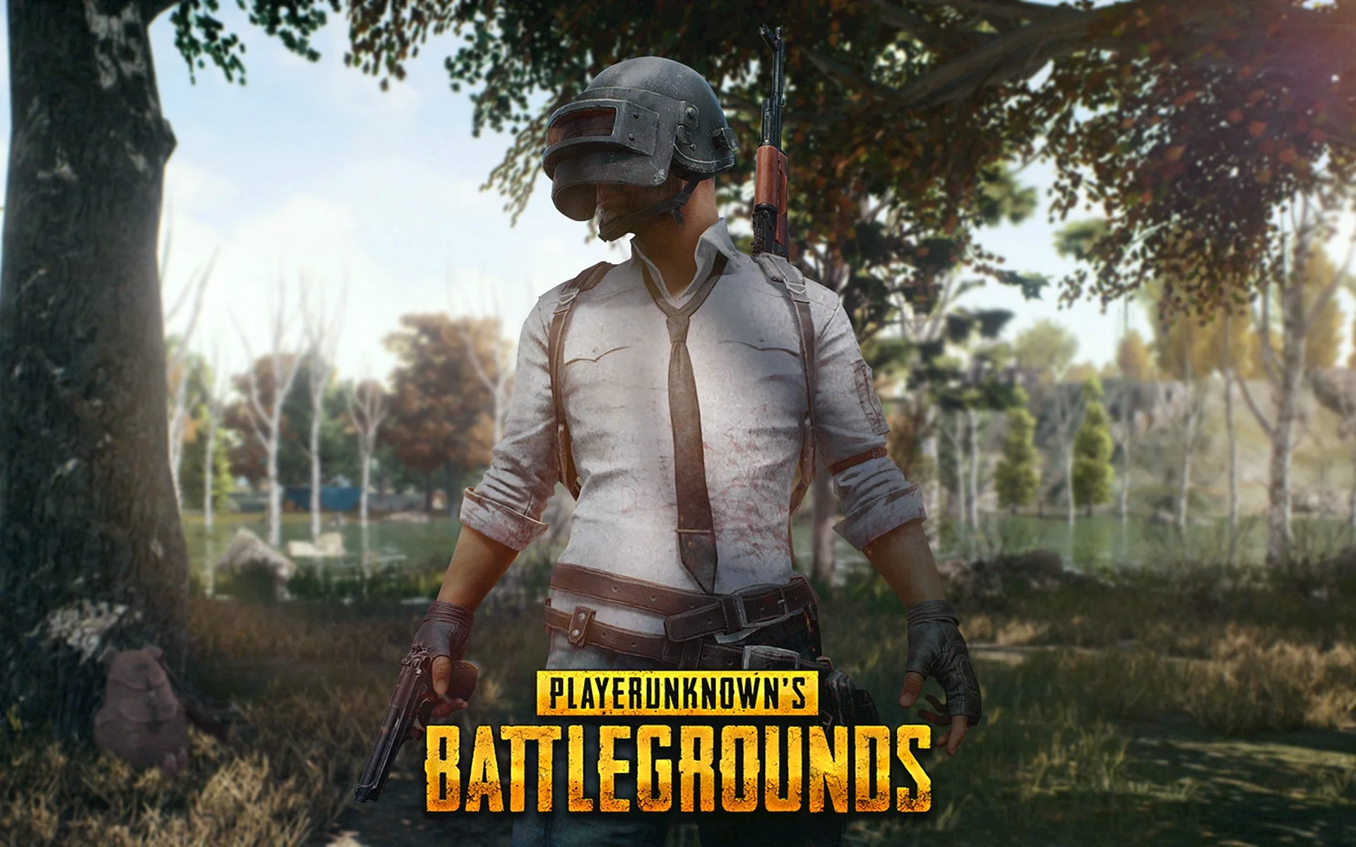 Pubg for pc free download фото 110