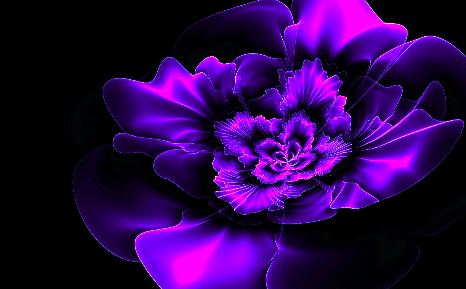 Purple Wallpaper