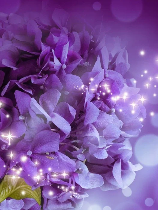 Purple Flower Background Wallpaper