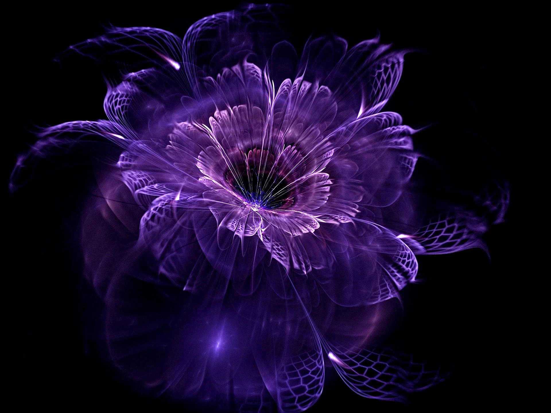 Purple Fractal Flower Wallpaper