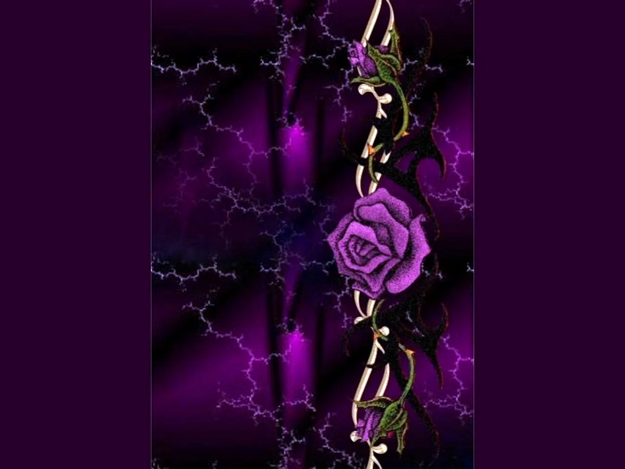 Purple Gothic Rose Wallpaper