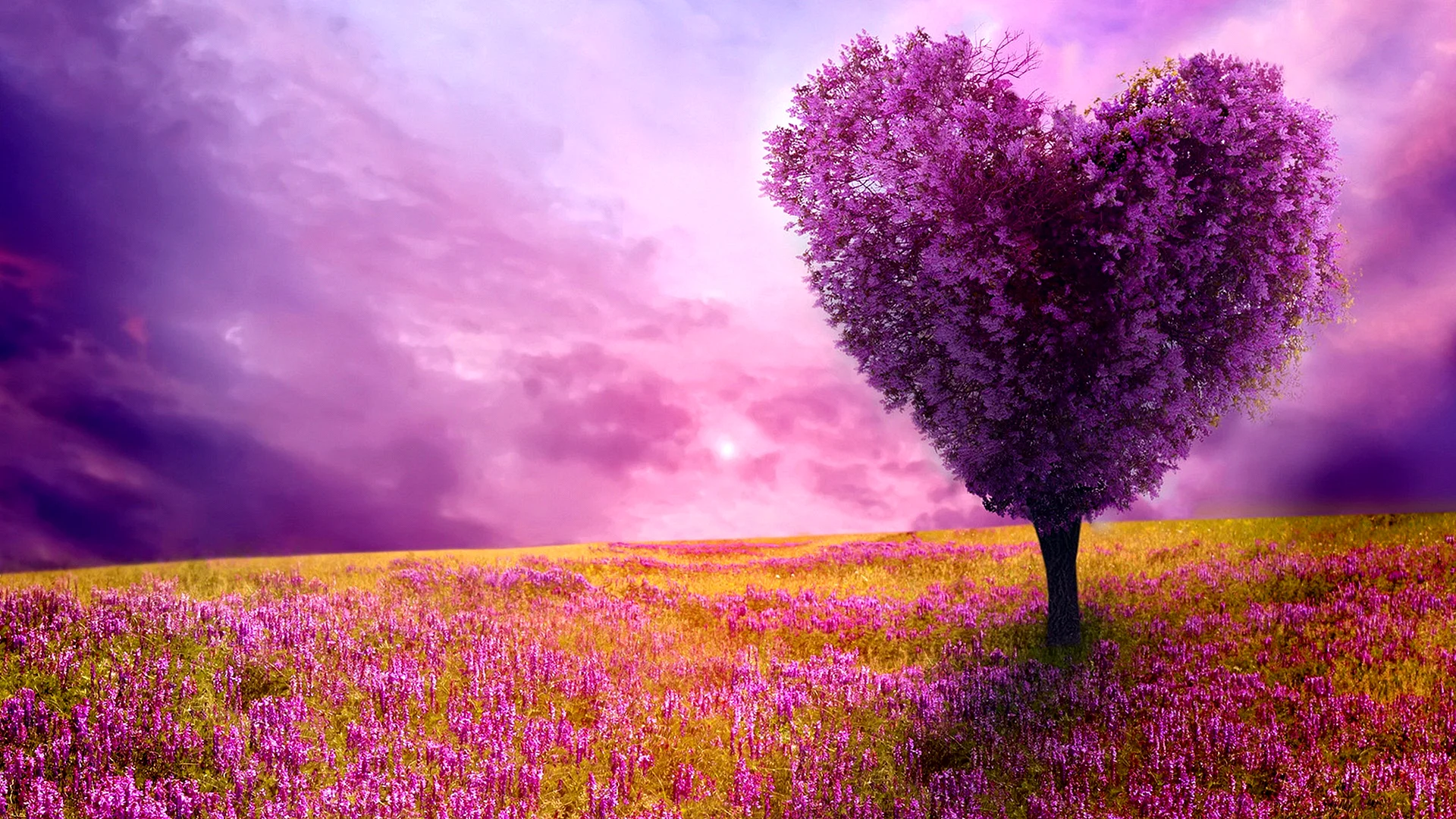 Purple Nature Wallpaper