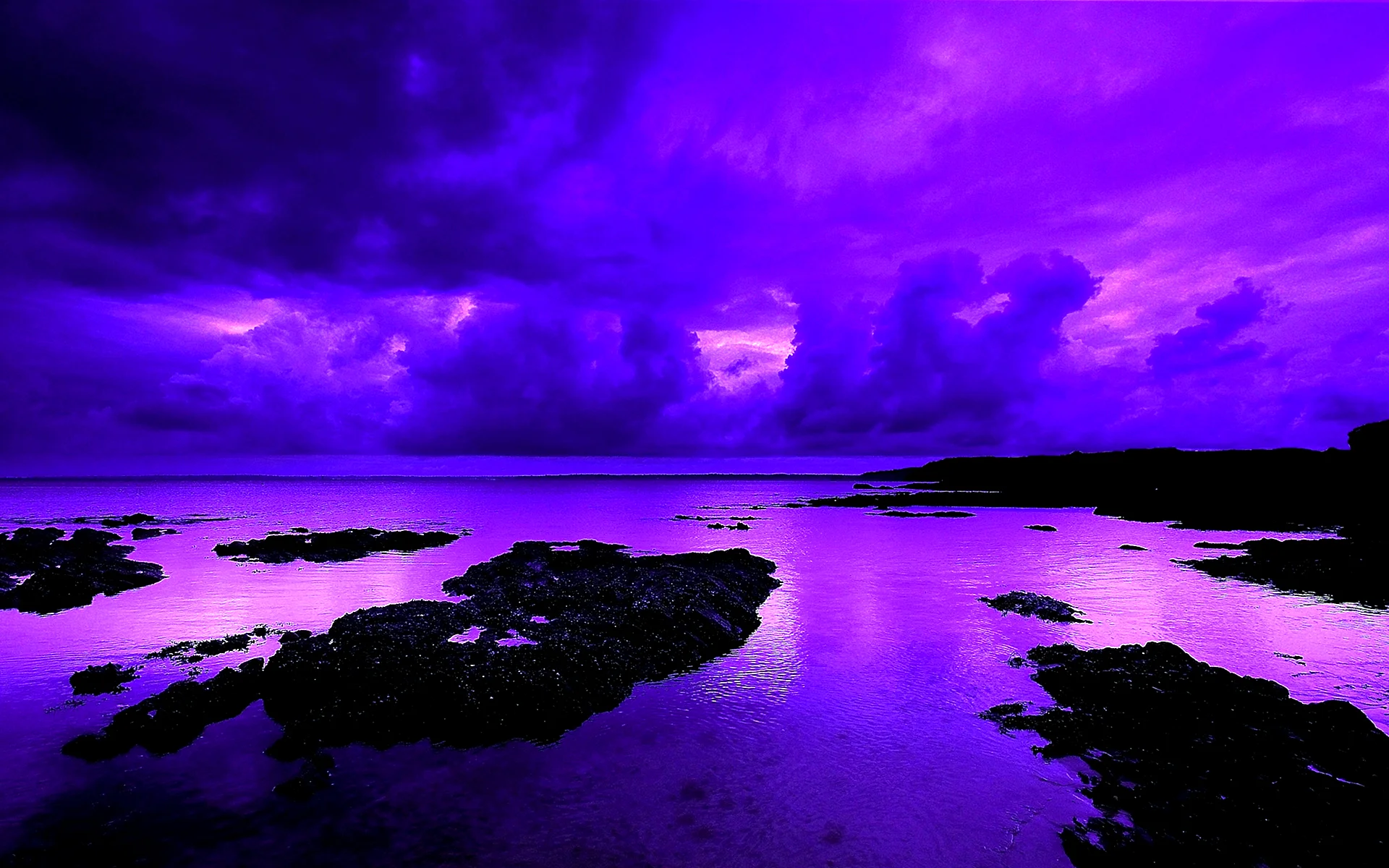 Purple Night Wallpaper