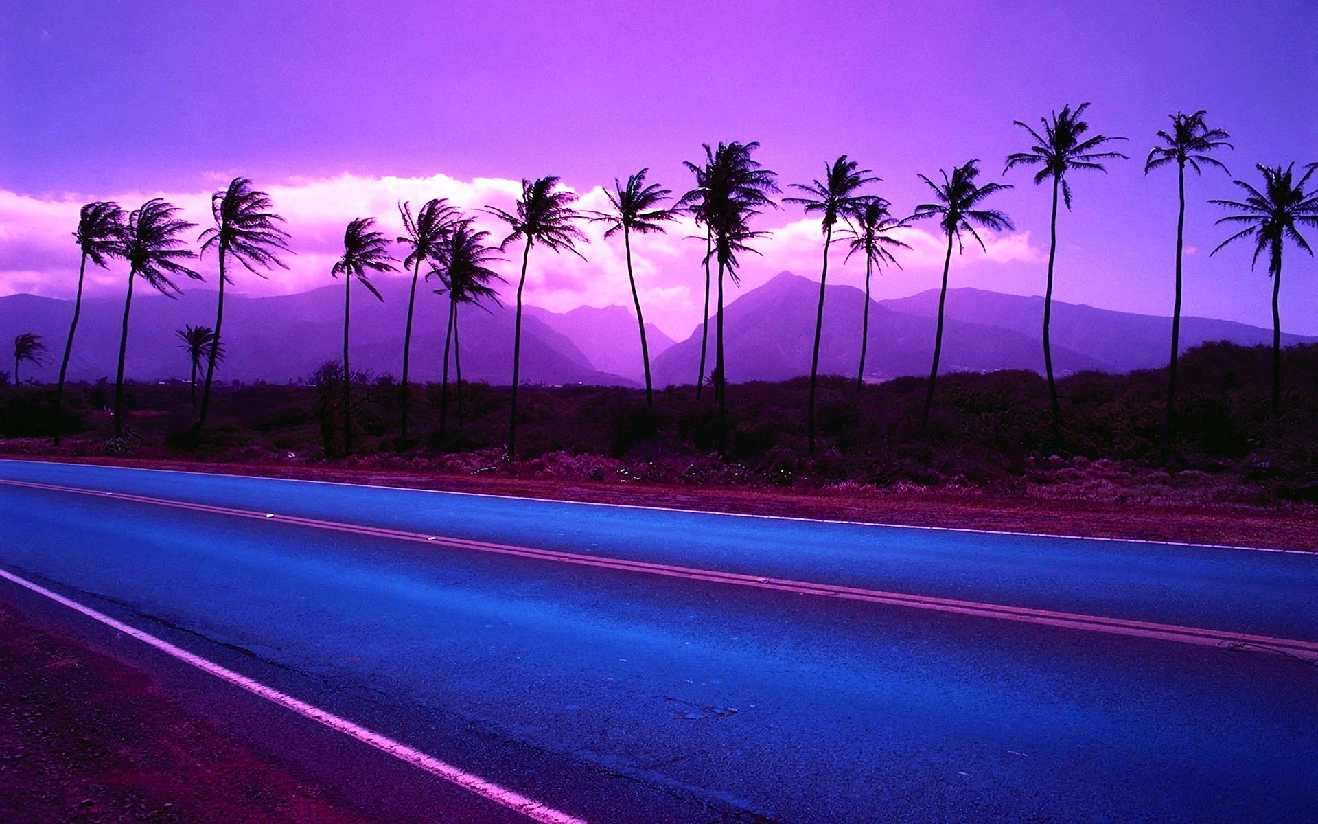 Purple Sky Wallpaper