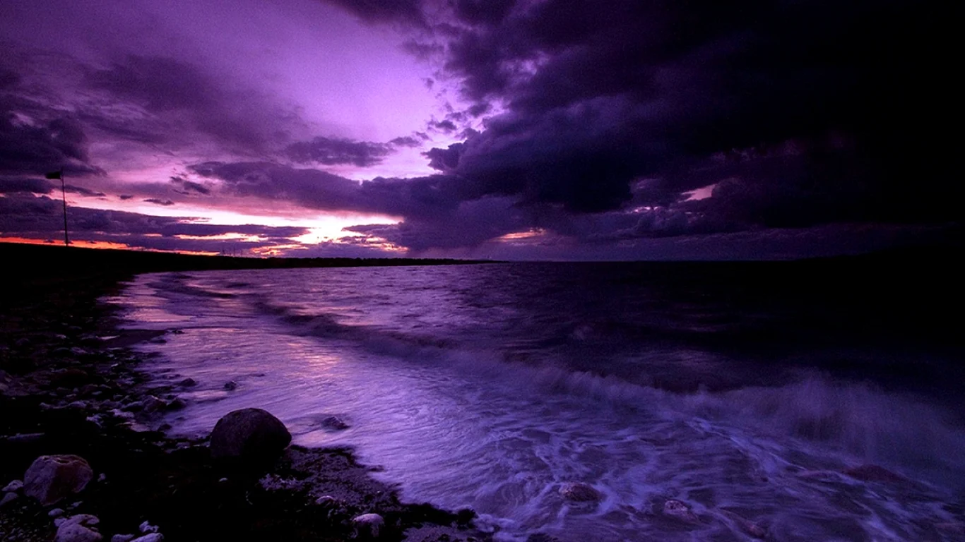 Purple Sunset